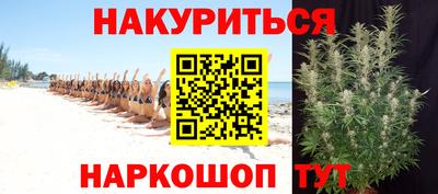 мяу мяу мука Баксан