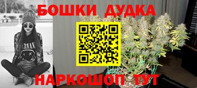 прущие крисы Аша