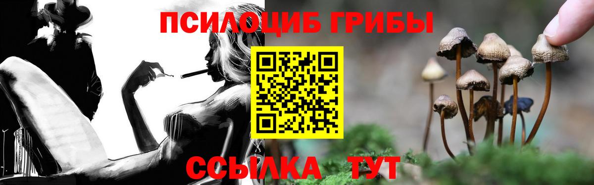 Тавда  Псилоцибиновые грибы Psilocybine cubensis  Вход с VPN  Псилоцибиновые грибы мухоморы 